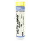 010221221 Cimicifuga Racemosa Granules 400312042000