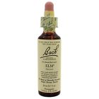071146394639 Bach Flower Remedies Elm 071146394639 Bach Flower Remedies Elm