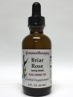 081017341734 Boiron Briar Rose Young