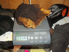 13oz.fresh Reishi Chaga Wild Ginseng Adirondack Mushroom 1 Chunk Mountains