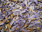 14g Petals Pride Shaman 28g Pure Aphrodesiac Lotus Blue Flower