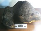 6803g 15 Lb Oz 240 Mushroom Organic Inonotus Food Super Chaga Obliquus Wild