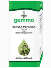 16360 Unda Betula Pendula Sap