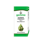 16570 Unda Platanus Orientalis Fl Oz 883196310500