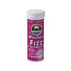 166551 Source Naturals Wellness Fizz Natural Berry 021078020516
