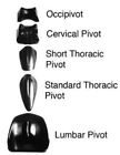 1951 Magister Corporation Pivotal Therapy System Pc Set New
