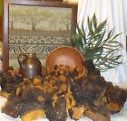 2 Or Smaller Rescued Shrooms Chaga Lb Mushroom Us Wild Harvest