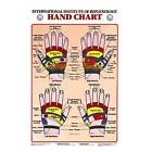 23001-parent Anatomical Chart Company New