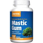 230756 Jarrow Formulas Mastic Gum 120