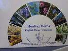 240.00 Flower Remedies Discovered Edward Bach Healing Herbs English Essences Professional Kit Retail Value