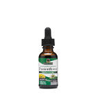 244229 Natures Answer Passionflower Mg Nature 083000006548