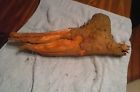 25.00 Ky Organically Root 6lbs. Huge Sassafras Grown
