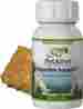 352618-bc00390415 Nativeremedies Native Remedies Digestion Assist Combopack For Pets 818837010877