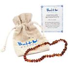 3534874 Baltic Wonder Oral Pain Relief Amber Teething Necklace 616806605754