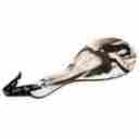 38940 Lovehoney Bettie Page Picture This Spanking Bat Black Huge Saving