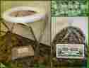 4062732 Portable Open Chair Herb Unbranded Vaginal Steam And Set Chai-yok Bajos Yoni