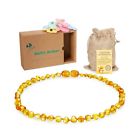 43337-70 Bright Moon Baltic Amber Teething Necklace Glod Smooth 190835666158