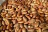 46322 Unbranded Bitter Kola Nuts All Natural From Africa