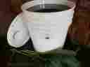 5-gallons Bumbling Acres Farm Comfrey Oil 100 Organic Handmade Small Batches Symphytum Uplandica X