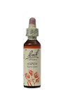 5000488103021 Nelsons Bach Original Flower Remedies Aspen May Vary