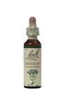 5000488103045 Nelson Bach Original Flower Remedies Centaury May Vary