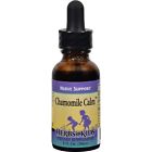 502238920 Herbs For Kids Chamomile
