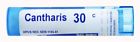 58245 Boiron Cantharis Pellets 306960163138