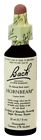 58503 Bach Original Flower Remedies 741273205715