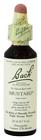 58508 Bach Original Flower Remedies Dr Edward Stated Mustard 741273206118