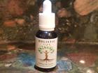 6000mg Holistic Life Shoppe Organic Full Spectrum Hemp Cbd Tincture Colorado