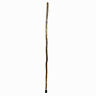 602-3000-1158 Brazos Walking Sticks Free Form Ironwood Cane 840008013059