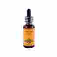 622373 Herb Pharm Wild Yam Liquid Herbal Extract 30ml Shipping Included