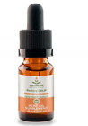 636173945765 Restorative Botanicals Restore Calm Hemp Oil Spice Flavor