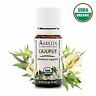 644037317504 Undisclosed Amrita Essential Oil Cajuput Ml