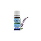 644037489324 Amrita Aromatherapy Spearmint 2