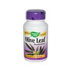 650929 Natures Way Olive Leaf