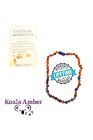 666412859973 Koala Amber Natural Real