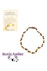 666412860030 Koala Amber Natural Real