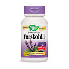 686582 Natures Way Standardized Forskohlii 033674100066
