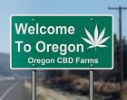 688594000103 Oregon Cbd Farms Hemp Oil Cbds Powerful Entourage