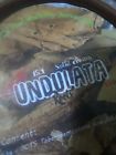 713837525225 10g T Undulata Becchete-sananga-chiric