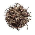 725177532924 Plum Dragon Herbs Tou Gu Cao Speranskia Herb