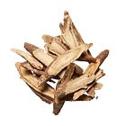 725177537318 Plum Dragon Herbs Gan Cao Chinese Herb Licorice
