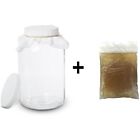 739312947689 Kitchentoolz Kombucha Fermenters Scoby With Starter Tea And