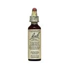 Cerato-20 741273204510 Bach Flower Essences New