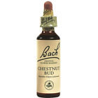 741273204718 Nelson Bach Flower Remedy