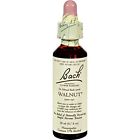 741273207313 Bach Original Flower Essences