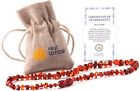 742574285888 Real Amber Baltic Teething Necklace Natural Tooth Gum