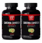 747989443458 Vip Vitamins Garcinia Burn Capsules Cambogia Weight Managenment