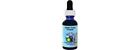 782932210077 Flower Essence Services Dropper Herbal Supplements Chestnut Bud